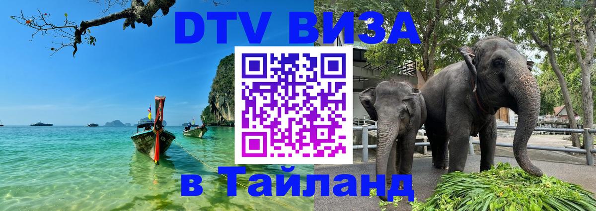 Сколько стоит DTV виза — актуальные цены, оформление даже без документов - 20.11.2025 